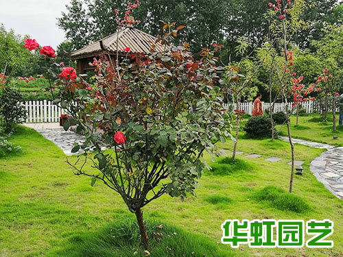 芷江別墅花園景觀(guān)