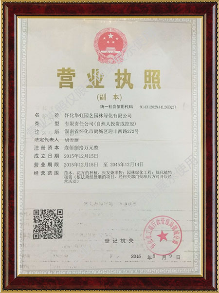 懷化華虹園藝園林綠化有限公司,懷化園林綠化工程設(shè)計施工養(yǎng)護(hù)
